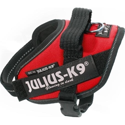 Julius - K9  IDC sele mini mini - 40-53cm - 4-7kg hund - Rød